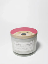 Sand + Paws Sun-n-Fun 12 oz scented candle