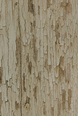 Santal Vanilla 12 oz scented candle