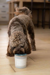 Sand + Paws Frazier Fir 21 oz scented candle