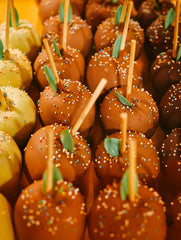 Winter Candy Apple 20 oz Liquid Hand Soap