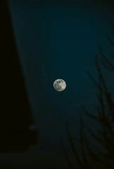 Havana Nights 12 oz scented candle