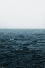 Cobalt 50 ml Whiskey and Leather Perfume Oil Dropper