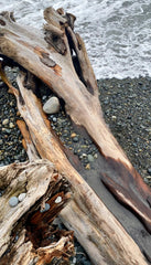 Ocean & Driftwood 21 oz scented candle