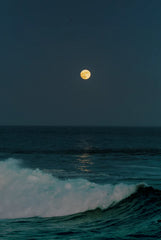 Tides of the Moon 25 oz scented candle