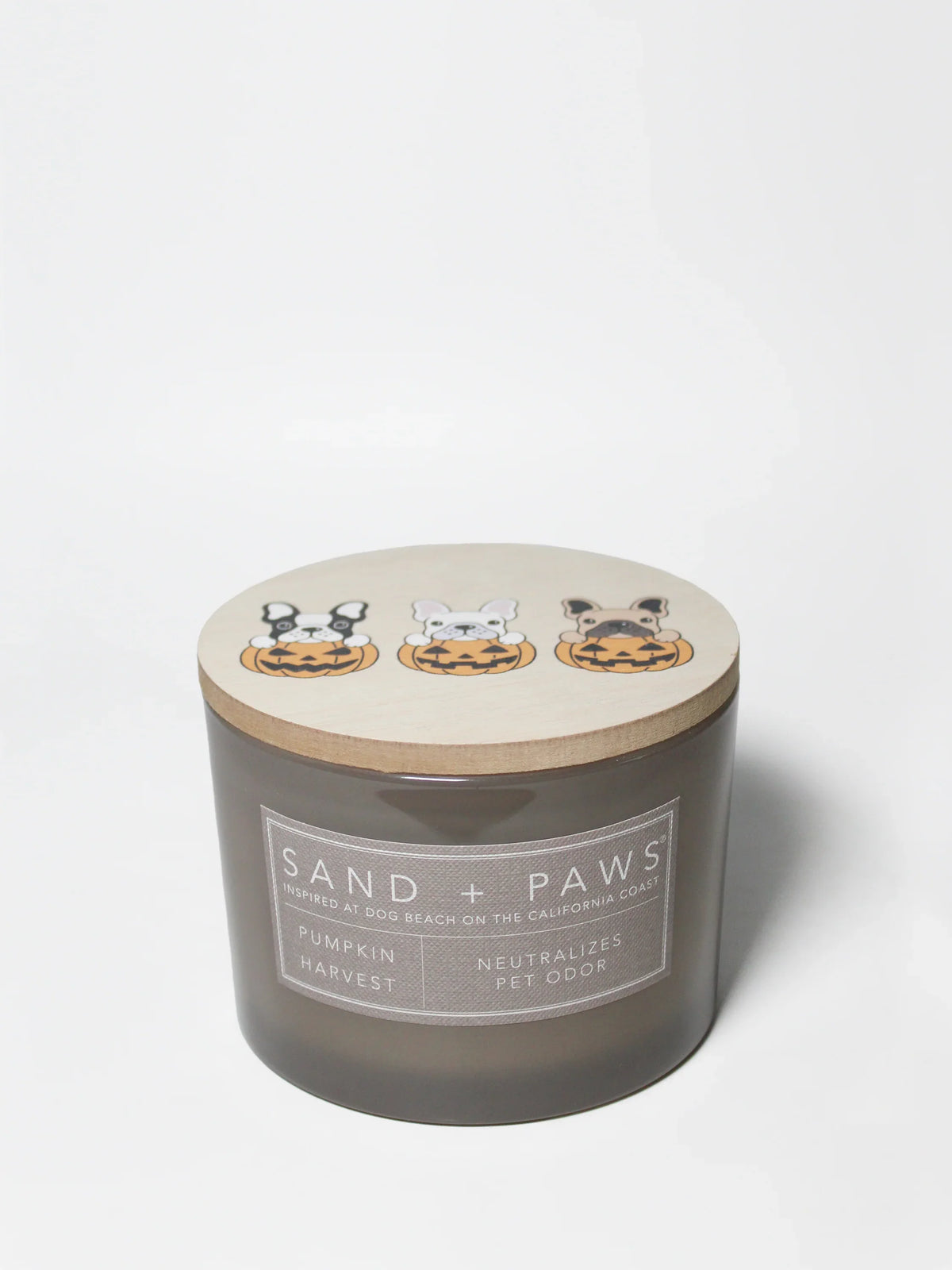 Sand + Paws Pumpkin Harvest 12 oz scented candle