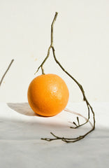 Citrus & Sandalwood 10 oz scented candle