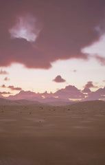 Sand + Paws Desert Rain 12 oz scented candle