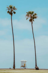 Sand + Paws Newport 14 oz scented candle