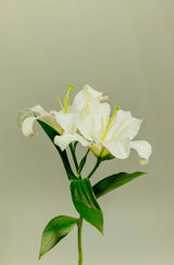 Gardenia 11 oz scented candle