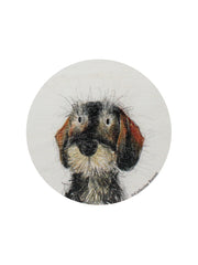 Sand + Paws Teakwood 12 oz scented candle