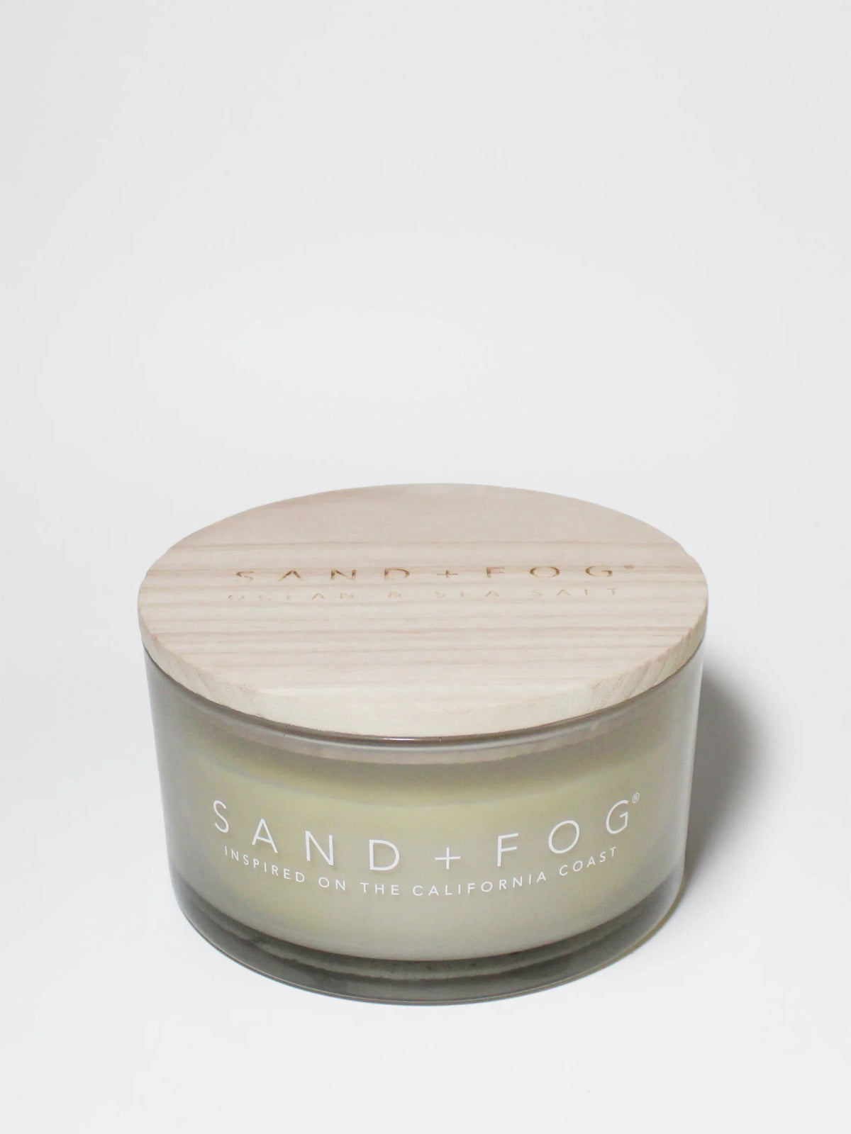 Ocean & Sea Salt 23 oz scented candle