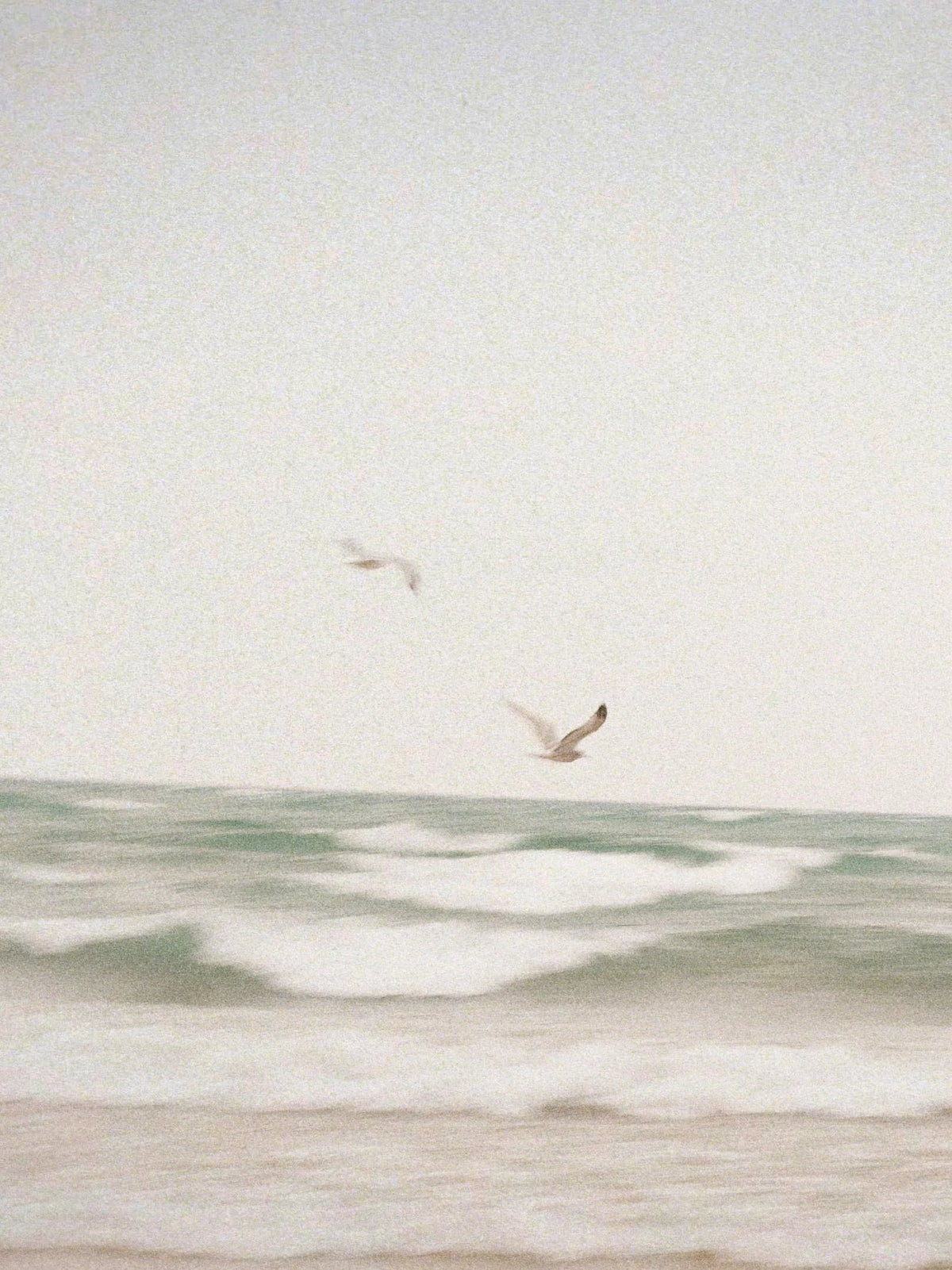 Clean Waves 100 ml Reed Diffuser