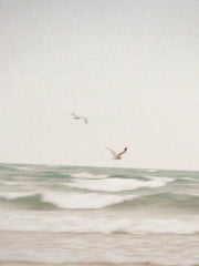 Clean Waves 110 ml Reed Diffuser