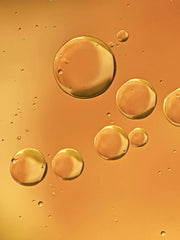 Santal & Vanilla 50 ml Perfume Oil Rollerball