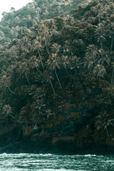 Midnight Tides 110 ml Reed Diffuser