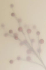 Goji Berry 12 oz scented candle