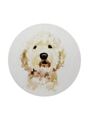 Sand + Paws Sun Washed Citrus 12 oz scented candle