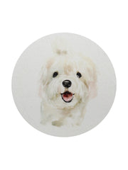 Sand + Paws Vanilla Sandalwood 12 oz scented candle