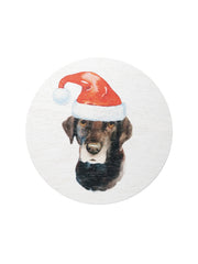 Sand + Paws Balsam & Cedar 12 oz scented candle