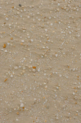 Ocean & Sea Salt 21 oz scented candle