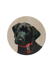 Sand + Paws Cedar & Lavender 12 oz scented candle