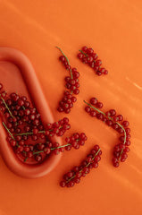 Sand + Paws Lemon & Red Currant 12 oz scented candle