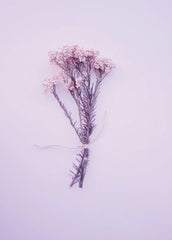 Violet & Vanilla 12 oz scented candle