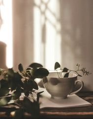 Eucalyptus Mint 12 oz scented candle