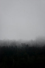 Dusk 50 ml Perfume Oil Rollerball