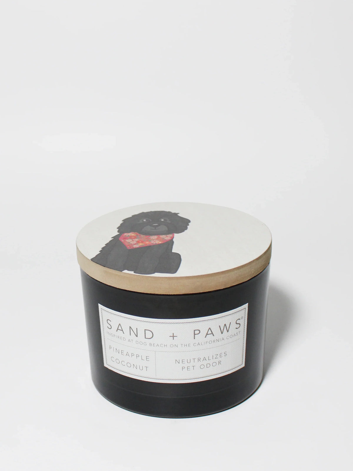 Sand + Paws Pineapple Coconut 12 oz scented candle