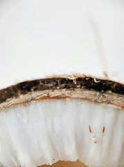 Vanilla Coconut 12 oz scented candle