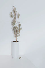 Eucalyptus Spearmint 12 oz scented candle