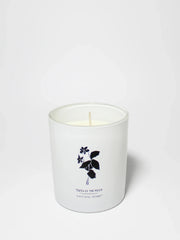 Tides of the Moon Natural Home 11.5 oz scented candle