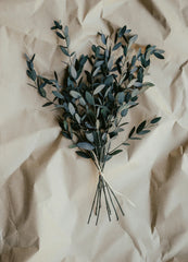 Eucalyptus 21 oz scented candle