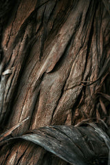 Vanilla Sandalwood 110 ml Room Spray