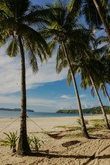 Tahitian Vanilla 10 oz scented candle