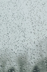 Sand + Paws Rain 12 oz scented candle